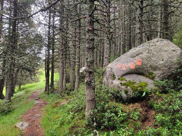 Rastres i petjades, una excursió per fer d’exploradors a Andorra