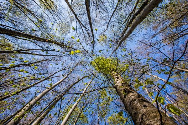 El Sot de l'infern, l'excursió en familía més coneguda del Montseny