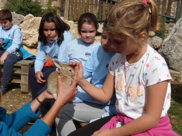 Zoo del Pirineo, en Odèn | ZOODELPIRINEU