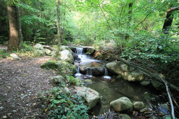 El Gorg Negre i el Clot de l’Infern, el camí de les cascades, a Riells i Viabrea, el Vallès Oriental | wikiloc - Ambbotes | wikiloc - Ambbotes