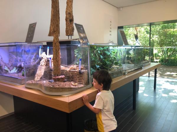 Museo de Ciencias Naturales de Granollers Con niños