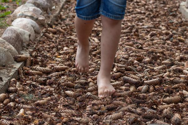 Descalzate en el bosque y jardín vertical en Dosrius Con niños