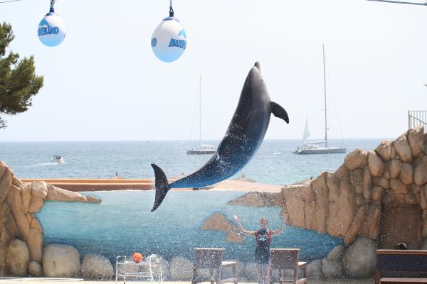 Marineland, el parque acuático Con niños