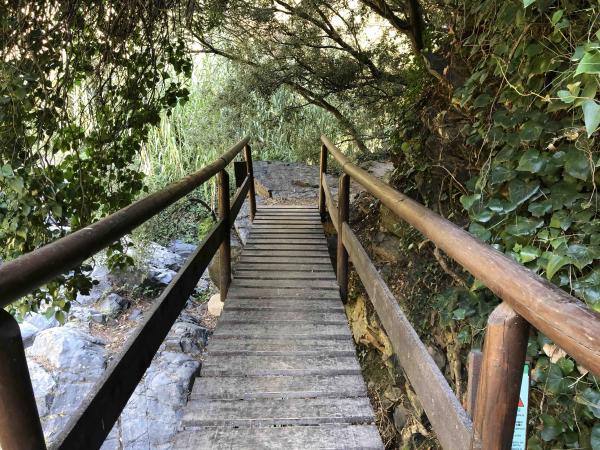 Una ruta llena de puentes de madera