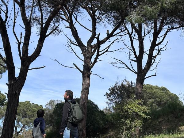 Una excursió amb un mirador i unes vistes espectaculars | ESCAPADAAMBNENS.COM