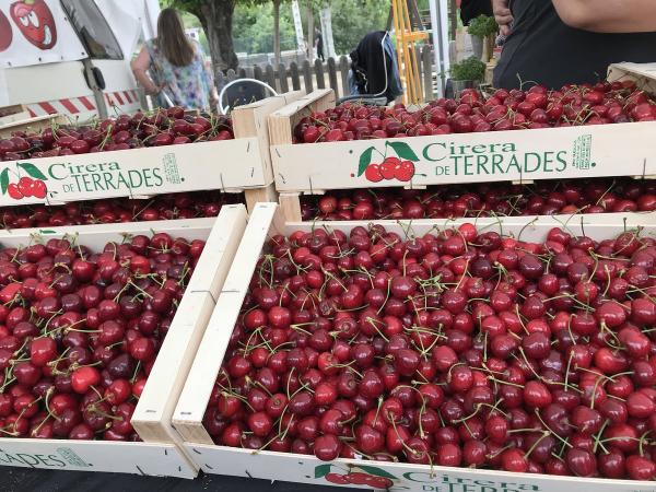 El Mercat de la Cirera de Terrades, en el Alt Empordà