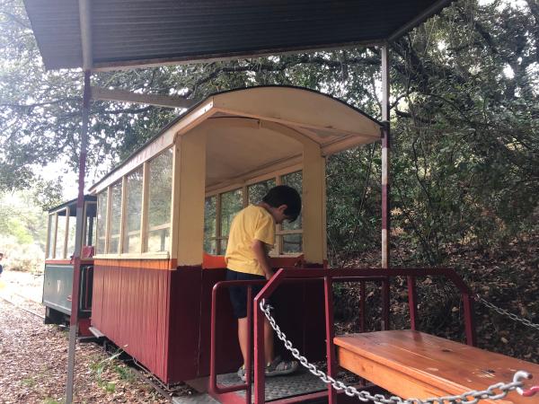 Carrilet de Vilamanya, un tren en Riudecanyes