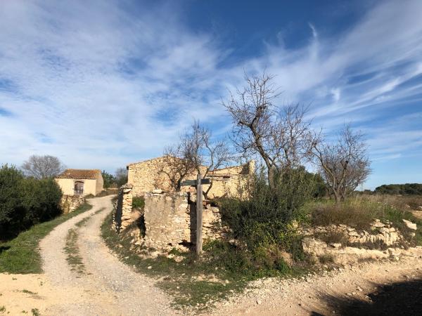 Ruta de las Alzines Con niños