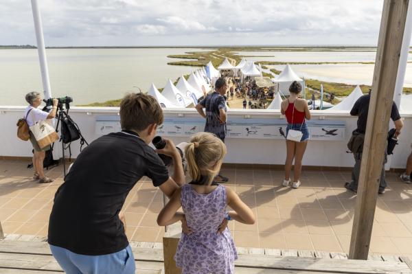 El festival internacional d’ornitologia del Delta de l'Ebre | Foto: Fundació Catalunya La Pedrera
