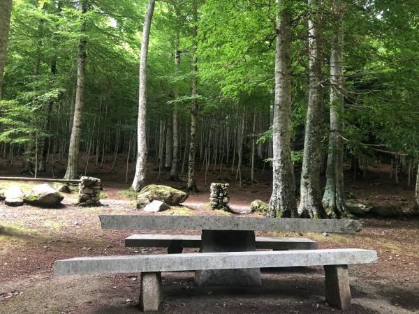 Zona de picnic del refugio de Conangles, en el Vall d'Aran