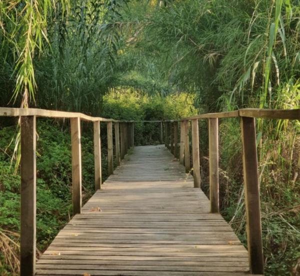 Ruta por la confluencia de los ríos Segre y Cinca, desde La Granja d'Escarp