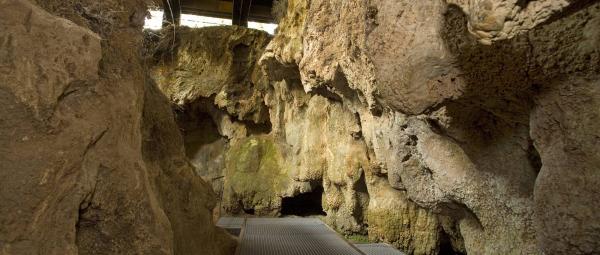 Cuevas de Serinyà