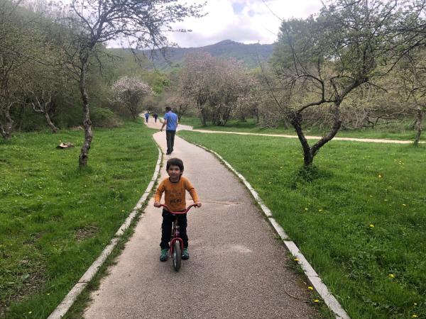 La Font del Frare, l'excursió més curta del Montseny