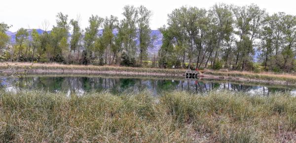 L'Estany dels Basturs, al Pallars Jussà | conxavima - wikiloc