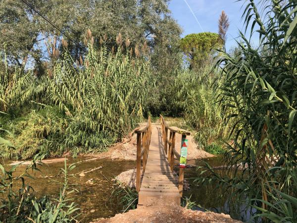 Una excursión de cuento por el río Gaià | Excursión de Aiguamúrcia a Vila-rodona. Foto: ESCAPADAAMBNENS.COM | Excursión de Aiguamúrcia a Vila-rodona. Foto: ESCAPADAAMBNENS.COM | Excursión de Aiguamúrcia a Vila-rodona. Foto: ESCAPADAAMBNENS.COM | Excursión de Aiguamúrcia a Vila-rodona. Foto: ESCAPADAAMBNENS.COM