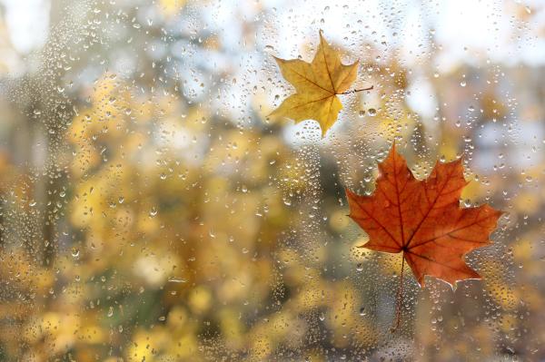 5 ideas para un día de lluvia con niños en Tarragona