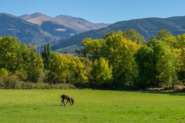 La Cerdanya