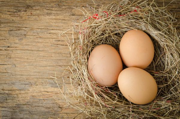 10 manualidades divertidas con huevos de Pascua