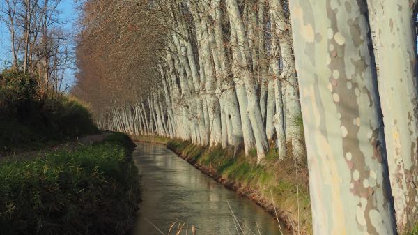 Los 9 saltos del Canal de Urgell Con niños