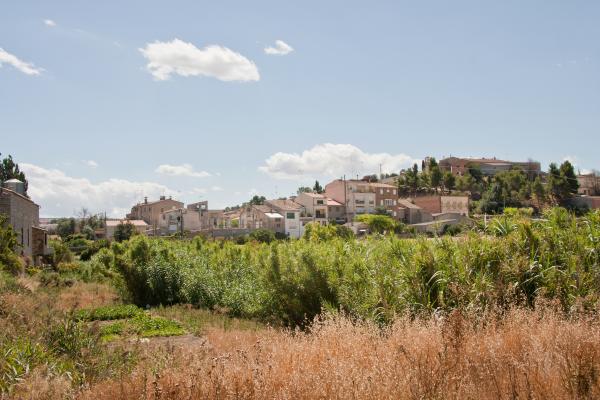 Ribera d'Ondara