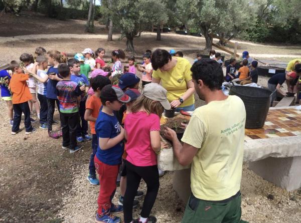 Jardín botánico medicinal Ecoherbes Park Con niños