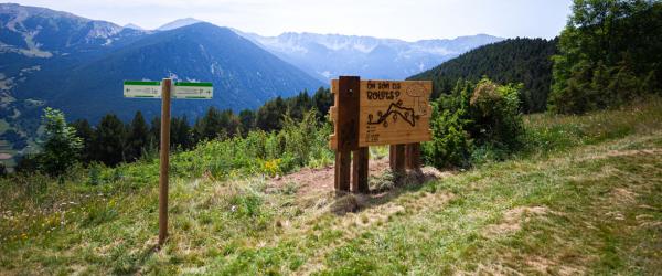On són els bolets d’Andorra? Una excursió amb bolets gegants | visitandorra.com