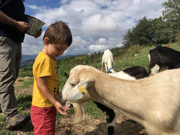 Can Pastoret Con niños