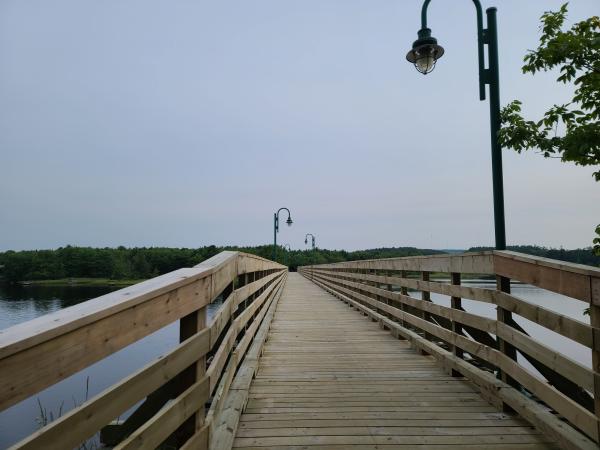 Ruta pel Parc Fluvial del riu Anoia amb nens