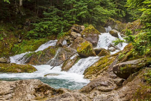 Artiga de Lin i Uelhs deth Joèu, els racons naturals més bonics de la Vall d'Aran