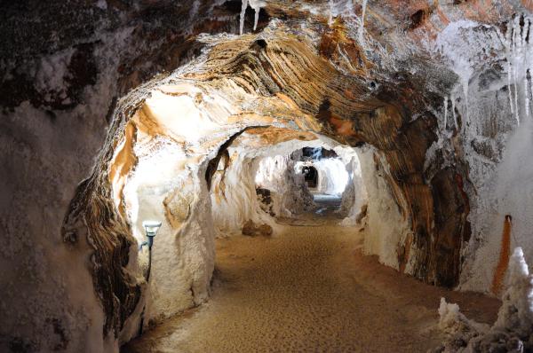 Mines de sal de Cardona amb nens