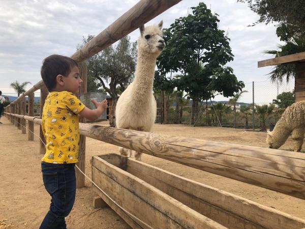 La mascota i el jardí | Foto: ESCAPADAAMBNENS | Foto: ESCAPADAAMBNENS