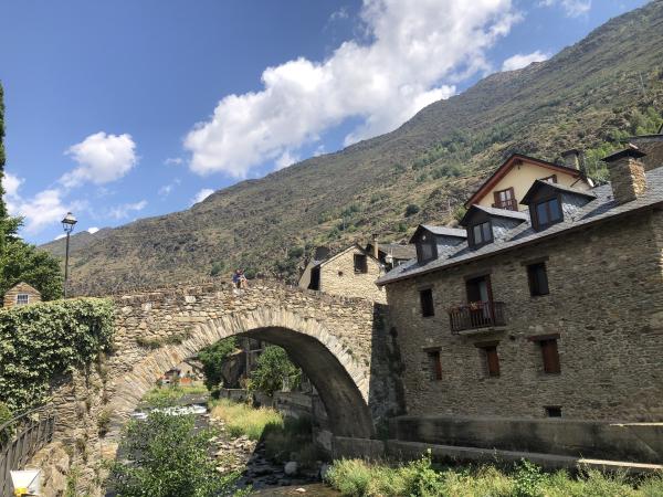 Los árboles convertidos en esculturas, en Esterri d'Àneu