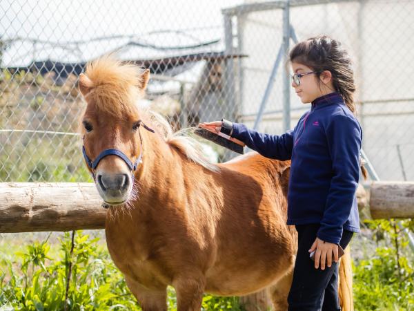 Granja-Espacio botánico Les Tanques, en Viladecans | LESTANQUES.COM | LESTANQUES.COM | LESTANQUES.COM