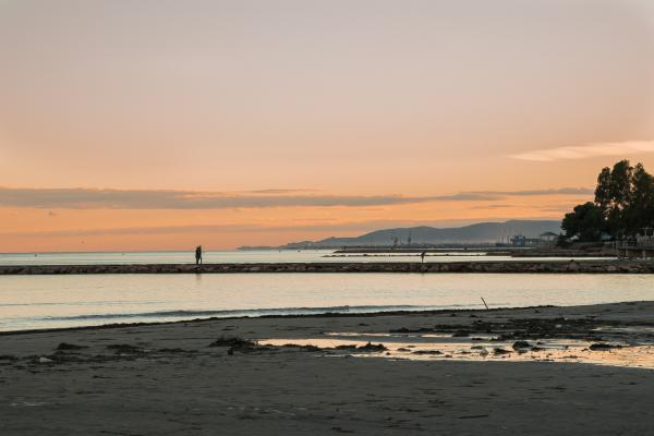 Veurem l'arribada del peix a port