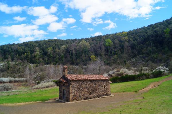 Volcà de Santa Margarida amb nens