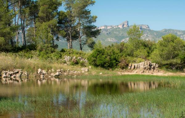 Área de picnic de la Bassa d'en Ferrà Con niños