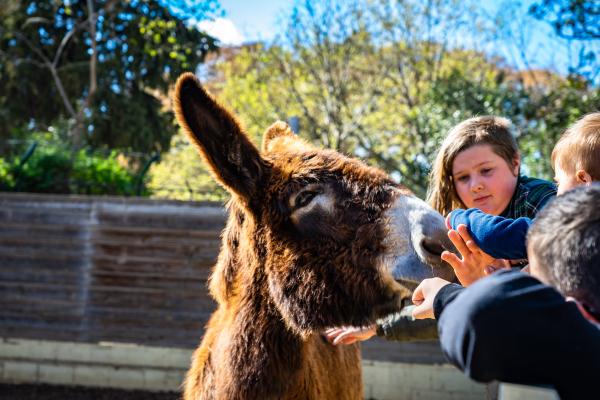 Zoo de Barcelona