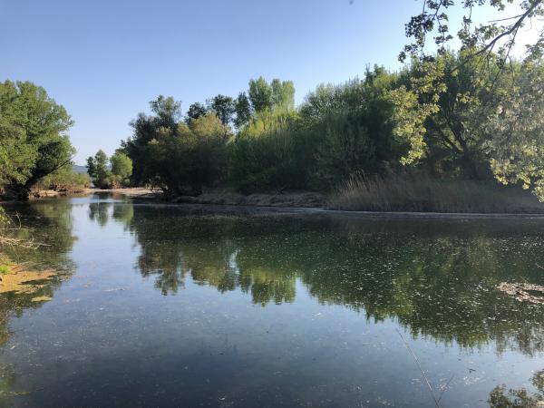 Excursión por el Camí de les Sequines | Excursión por el Camí de les Sequines. Foto: ESCAPADA AMB NENS