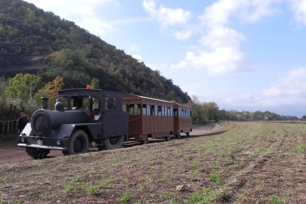 En trenet pels volcans de la Garrotxa