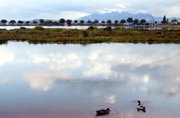 El Parc de l’Agulla de Manresa