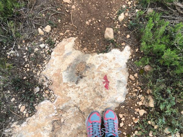 Los murciélagos nos llevan hasta la cueva