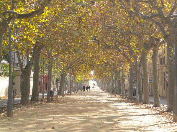 La Feria de la Butifarra de La Garriga, gastronomía y actividades familiares