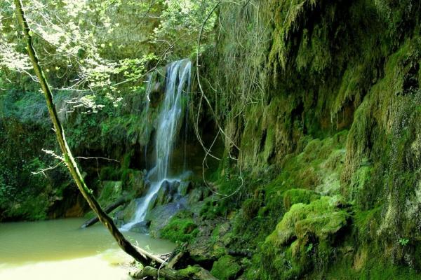 Gorga Blava d'Ollers Con niños