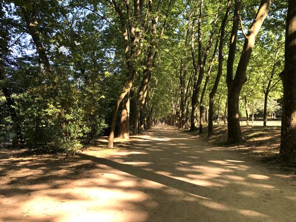 Parc de Sant Salvador