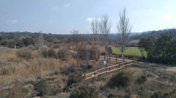 Humedales de Granollers de Segarra | SOMSEGARRA.CAT