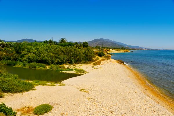 Desembocadura del río Sénia | Río Sénia, entre Alcanar  y Vinarós. Foto: SHUTTERSTOCK.COM