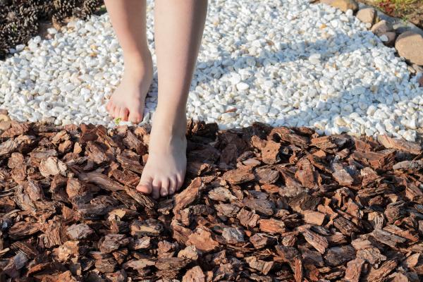 Itinerario sensorial de Talamanca Con niños