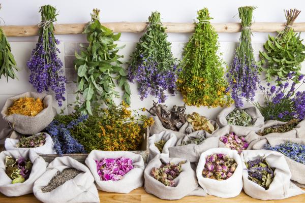 Fira Arç de Prullans, una mostra de les herbes i les plantes remeieres