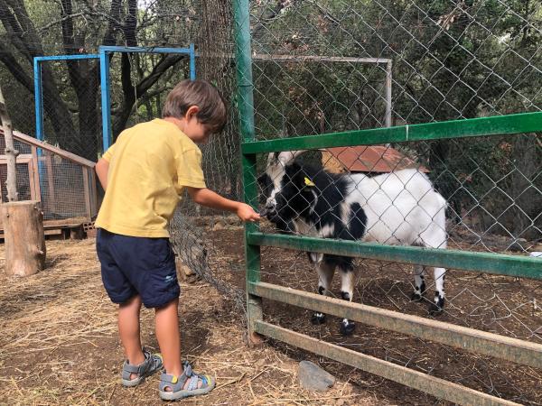 Carrilet de Vilamanya, un trenet a Riudecanyes