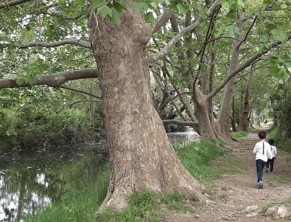 Qué hay que tener en cuenta a la hora de bañarnos | Foto: Turisme de la Sénia